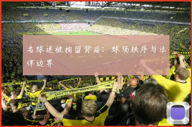 名球迷被拘留背后:球场秩序与法律边界