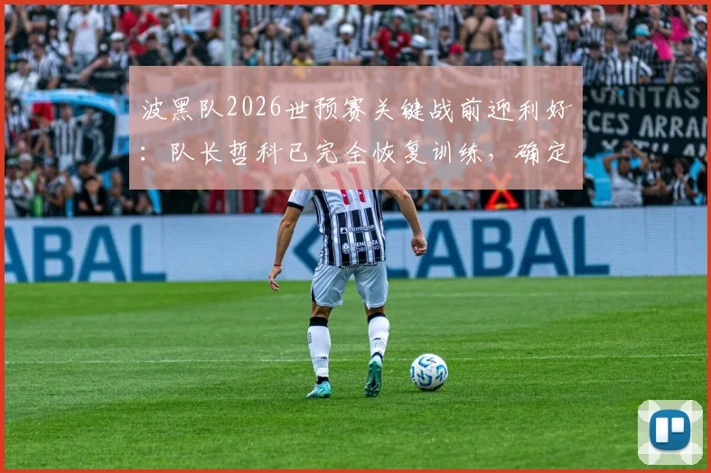 波黑队2026世预赛关键战前迎利好：队长哲科已完全恢复训练，确定可出战对阵瑞士