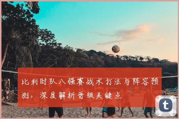 比利时队八强赛战术打法与阵容预测，深度解析晋级关键点